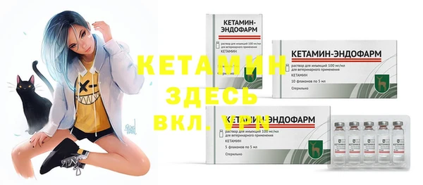 спиды Лагань