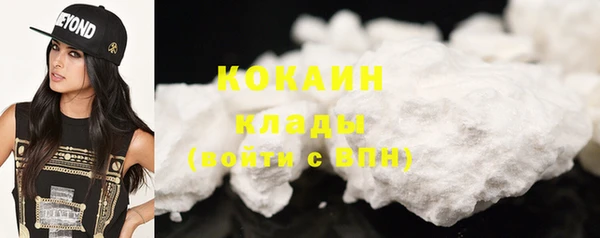 спиды Лагань