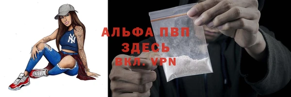 спиды Лагань