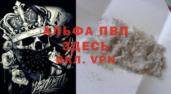прущий лед Ладушкин